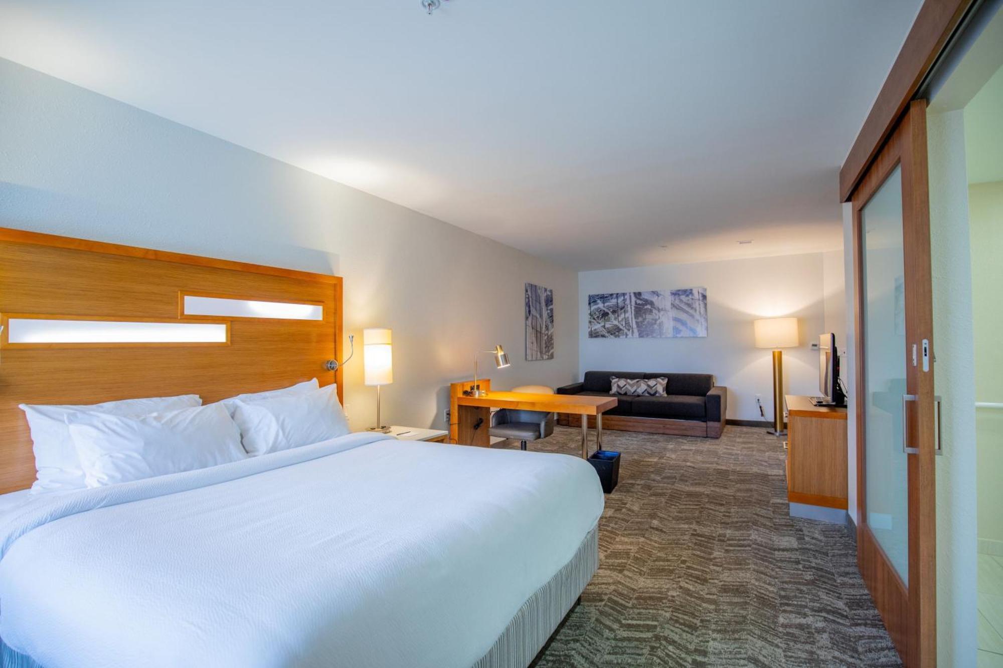 Springhill Suites By Marriott Baton Rouge Gonzales Exterior photo