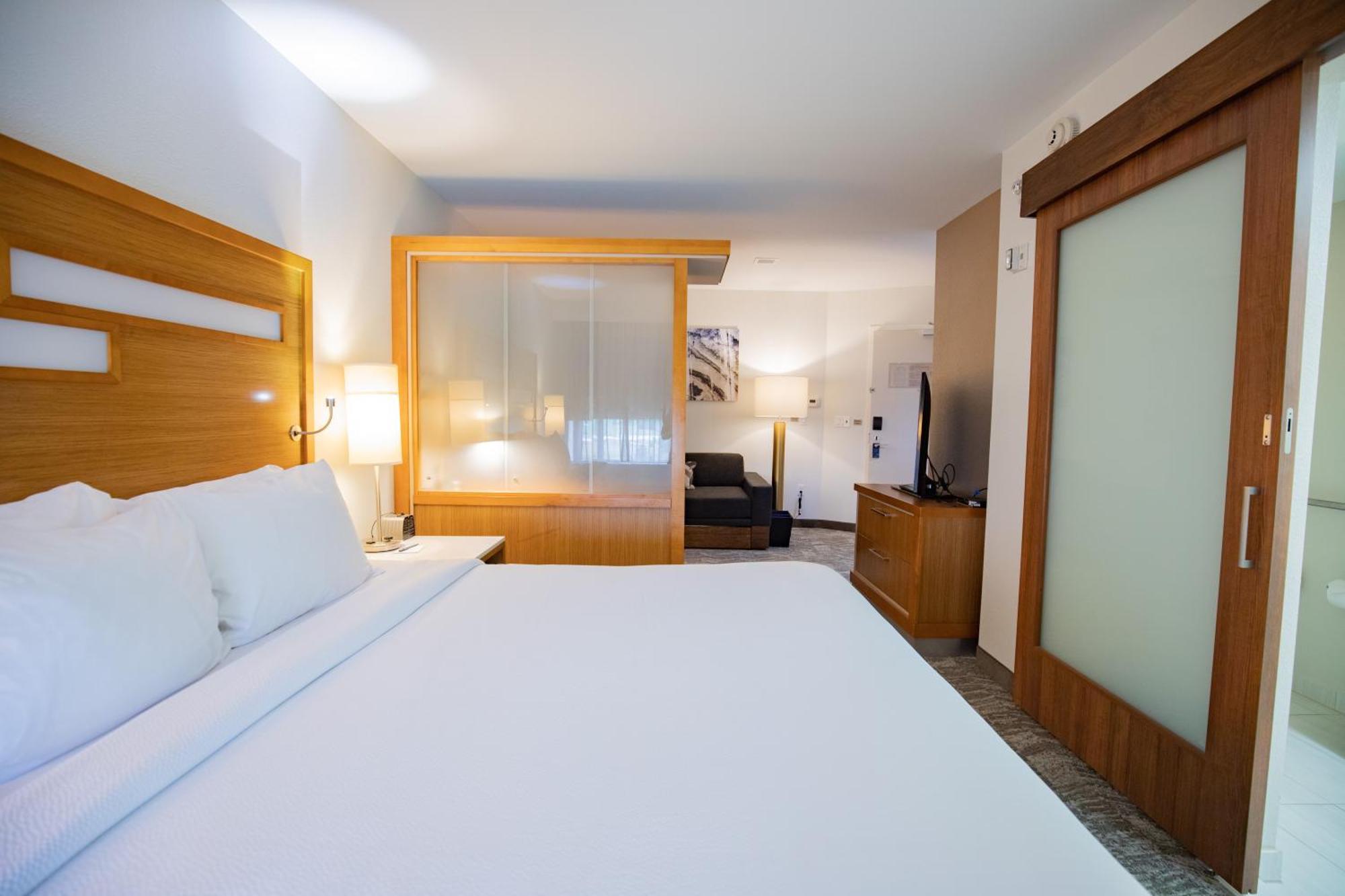 Springhill Suites By Marriott Baton Rouge Gonzales Exterior photo